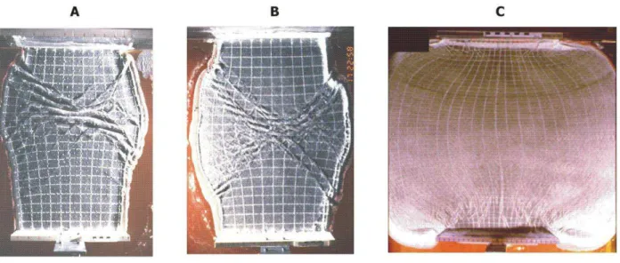 Figure 38 : Influence des forces gravitaires exercées dans les expériences. A- faible force  gravitaire (i.e