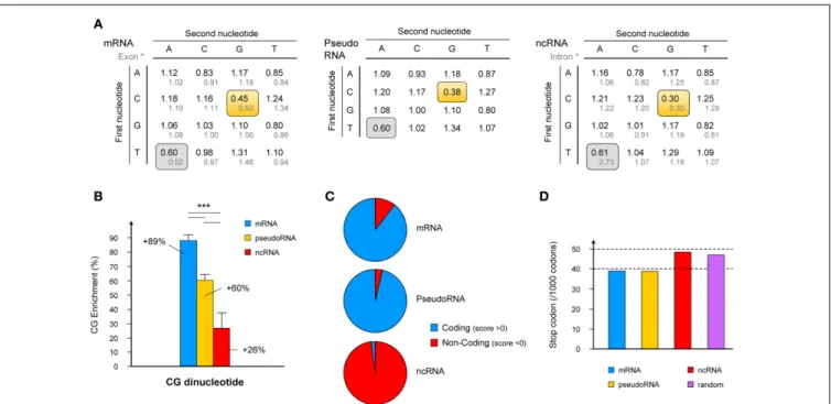 FIGURE 1 | Characterization of specific features of the “bona fide”