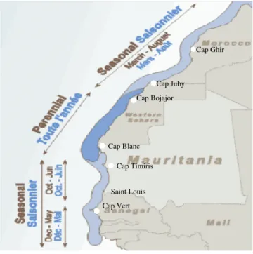 Fig. 2.6: Localisation des centres d’upwelling et leur saisonnalité dans le système de courant des Canaries extrait de Taleb (2005) .