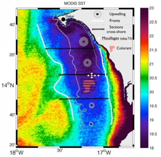 Fig. 2.9: Carte de la température de surface de la mer mesurée par MODIS, le 1er mai 2004, (http ://oceanco- ://oceanco-lor.gsfc.nasa.gov/) montrant la plume d’upwelling du Sud Sénégal ainsi que le plan de la campagne UPSEN2.