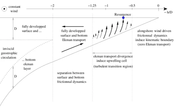 Fig. 2.14: Schéma conceptuel résumant les principaux résultats de l’extension 2DV du modèle d’Ekman (Estrade, 2006).