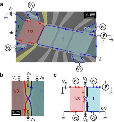 Figure 1 Fractional-integer quantum Hall junction. a-b, False-colour scanning electron  micrograph of the Hall-bar sample with measurement configurations (a) and magnified view near  the narrow junction (b)