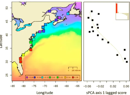 Figure  1.  Exemple d'une variation clinale multilocus  (droite)  chez les jeunes stades  d’une espèce sans isolation géographique A