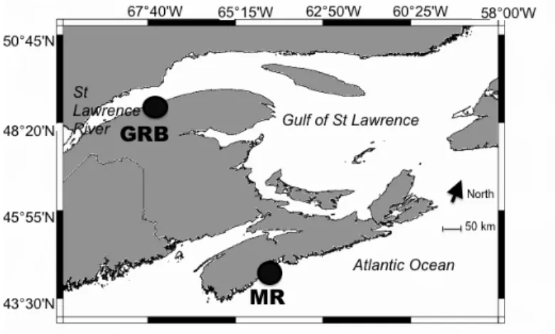 Figure 10 River estuaries where glass eel were sampled for this study Grande-Rivière- Grande-Rivière-Blanche (GRB), 48°47' N, 67°41' W; Mersey River (MR), 44°02' N, 64°42' W 