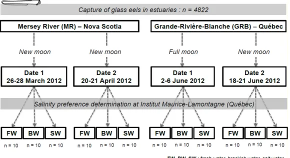 Figure 11 Experimental design 