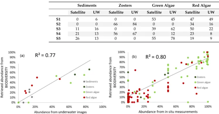 Table 2. Comparison of the fractional abundance (in %) of different classes as derived from the simulated images (noted “satellite”) against that obtained from the in situ underwater camera (noted