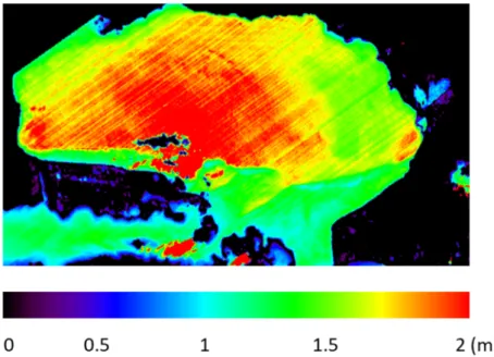 Figure 8. Retrieval of benthic composition from DESIS data (4 September 2019). 