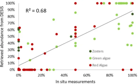 Figure 9. Inversion of DESIS data to retrieve water depth using Lee’s method. The DESIS satellite  image was acquired on 1 February 2020