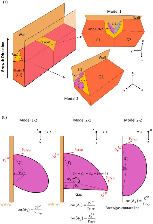 Fig. 1  (a) Schematic of the possible heterogeneous twinning sites; (b) schematic for  force balances at the TJ’s for model 1-2, model 2-1 and model 2-2