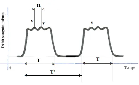 Figure 9. Débit enregistré au niveau de l’artère carotide primitive droite 4 . 