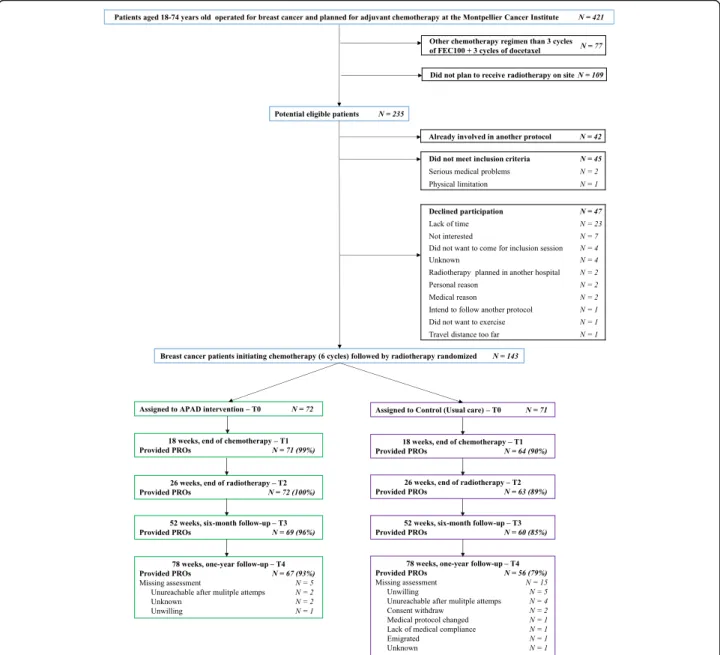 Fig. 1 CONSORT flow diagram of patients with breast cancer participating in the APAD1 study