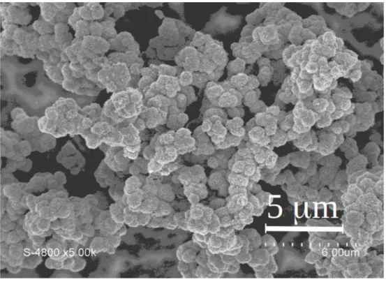 Figure 1 : SEM picture showing the microstructure of In 2 S 3  powder
