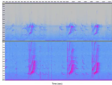 Fig. 4. Main steps for the acoustic events extraction: Binarization and detection of connected components