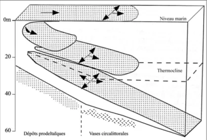 Figure II-4 : Système stratifié des apports d'un fleuve en 3 couches, thermocline des eaux marine et sens  de mouvement des particules (flèches) (Aloisi et al., 1982)