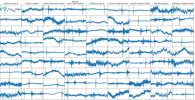 Fig. 4. Examples of DCLDE test instances for each class (4096 samples long)