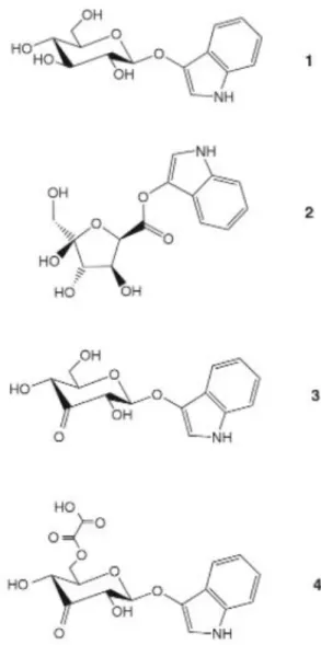 Fig. 5 les Isatan A, B et C  