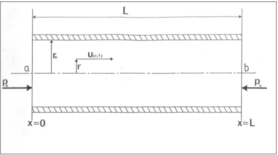Fig. 9 : Vitesse du fluide dans une section droite de tube. 