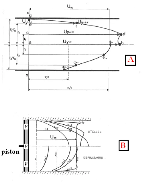 Fig. 10 : A : Profil des vitesses et des déphasages dans la conduite de rayon r 0. 