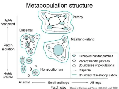 Figure  1.-­‐‑  Schematic  representation  of  the  metapopulation  concept.  