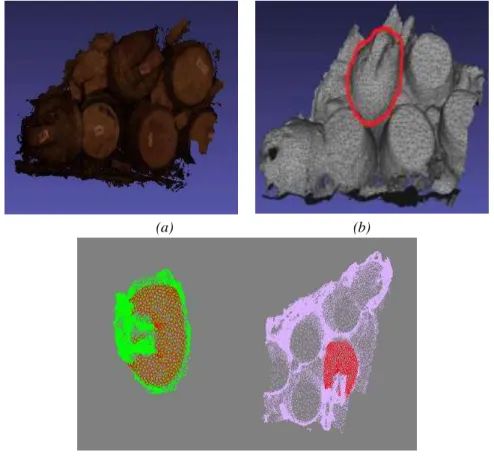 Figure 10. Recalage par  reconnaissance  d’objet connu (amphore) dans une scène réelle