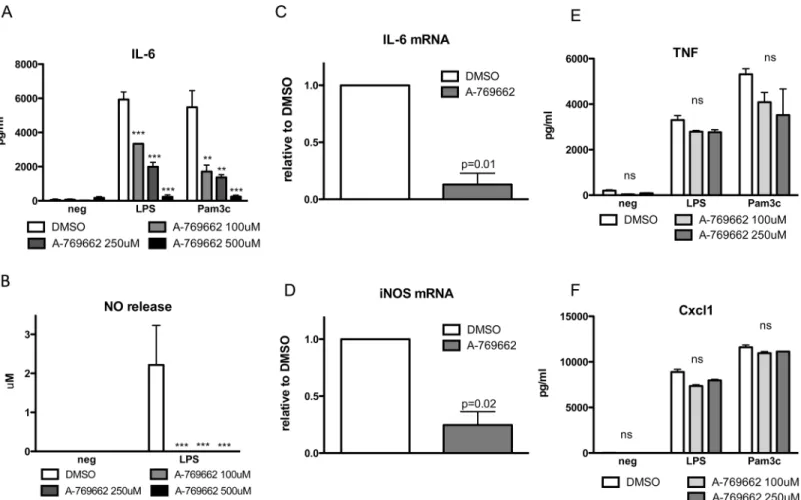 Fig 2. AMPK inhibited IL-6 and NO production in BMDMs stimulated with TLR2 and TLR4 agonists