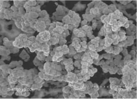 Figure 1: SEM micrograph of In 2 S 3  powder      Figure 2: Weight loss versus temperature in      