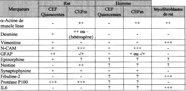 Tableau 1 : Caractérisation des CEFs  3.  Fonctions des CEF dans le foie normal 