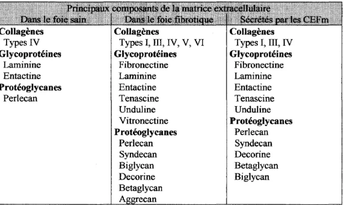 Tableau  rn :  Composants de la matrice extracellulaire dans le foie normal et dans le foie  fibrotique