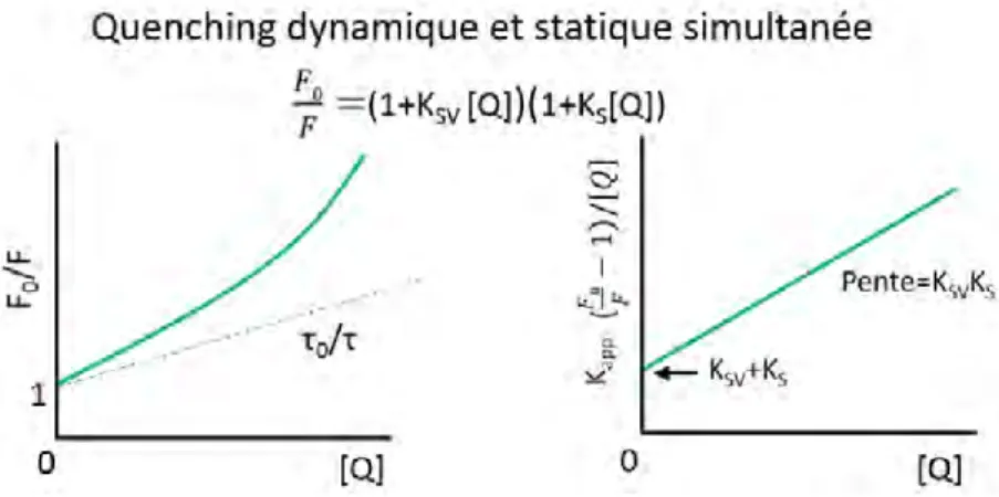 Figure 1.13 – Comparaison entre le quenching statique et dynamique Valeur and Berberan-Santos (2012)