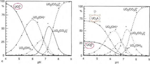 Figure 2.3 – Exemple de changement de la sp´ eciation de l’uranium en pr´ esence de mati` ere organique (issu de Moulin et al