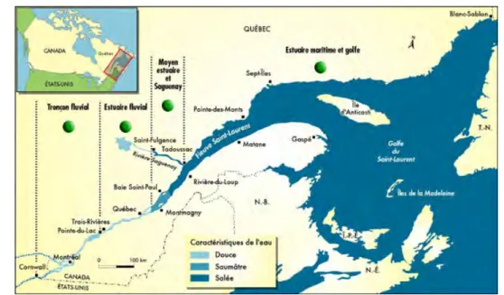 Figure 3.3 – Estuaire du Saint–Laurent, Qu´ ebec, Canada ; Source : Centre Saint–Laurent, Environ- Environ-nement Canada.