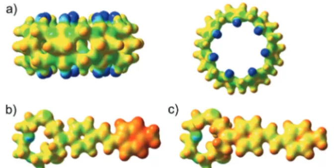 Fig. 3 Electrostatic potential surface of: (a) CB[7] (top and side views), (b) dye 2 in the ground state and (c) dye 2 in the excited S 1 state.