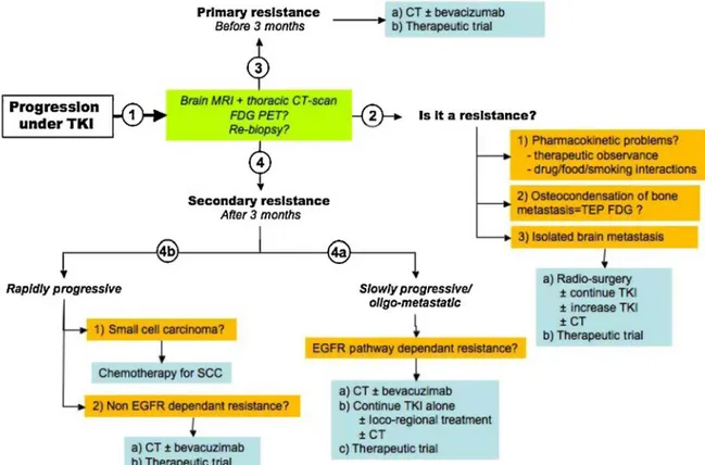 Fig. 4. Therapeutic management of EGFR-mutant NSCLC exhibiting progression under TKI. Therapeutic management of EGFR-mutant NSCLC exhibiting progression under TKI is not yet codified