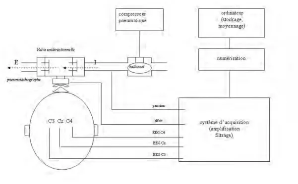 Figure 4. Représentation schématique du dispositif d’enregistrement des potentiels  évoqués respiratoires