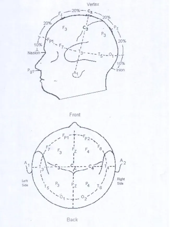 Figure 6. Représentation schématique de l’emplacement des électrodes de recueil  de  l’électroencéphalogramme  selon  le  système  international  10-20  (voir  revue  dans (42)