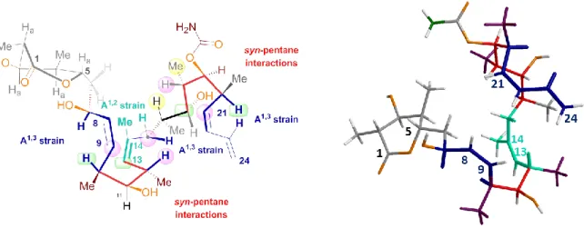 FIGURE 5  Conformation of DDM: A 1,3  and A 1,2  strain and syn-pentane interactions. 