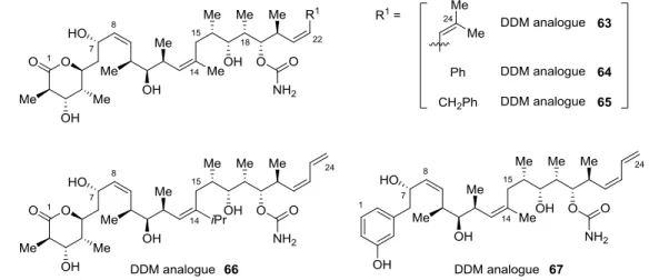 FIGURE 7  Focused DDM analogues. 