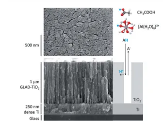 Fig. 1 SEM images (top and side views) of the 1 m m-thick GLAD-TiO 2 / Ti ﬁ lm. At the right of the side view is a schematic representation of the two-step proton insertion mechanism within the nanostructured GLAD TiO 2 ﬁ lm