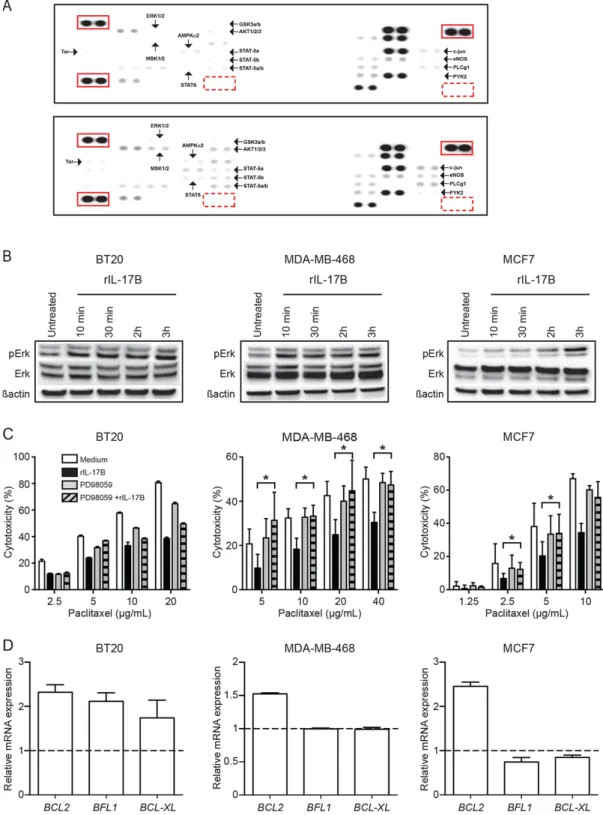 Figure 4: IL-17B-induced resistance to paclitaxel is mediated by activation of the ERK pathway