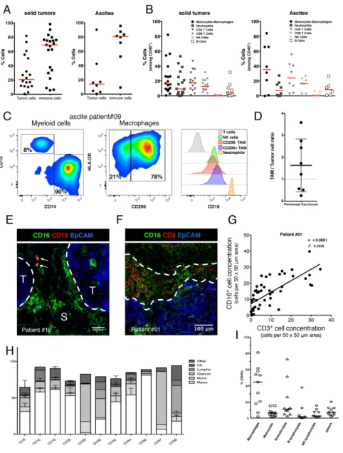 Figure 3: Phenotypic characterization of human ovarian tumors infiltrating immune cells