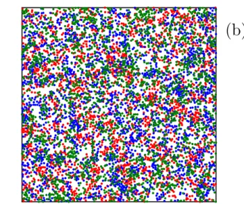 FIG. 5. Typical snapshot of a Monte Carlo simulation of the membrane-excluding colloids (after equilibration) for the parameters of C 12 E 5