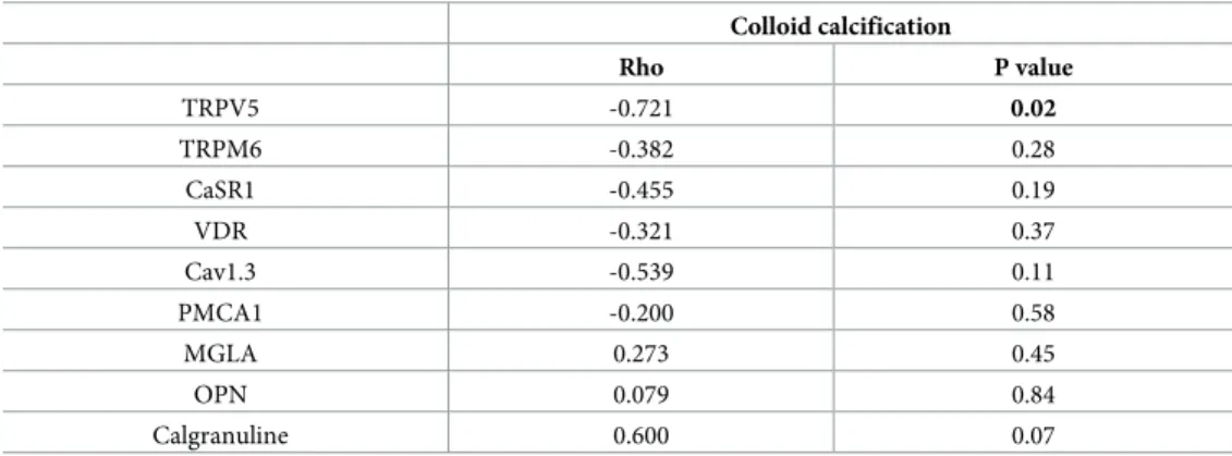 Table 3. Correlation between colloid calcifications number and mRNA expression of different transporters, receptors or macromolecular inhibitors in 10 thyroid samples (Spearman test).