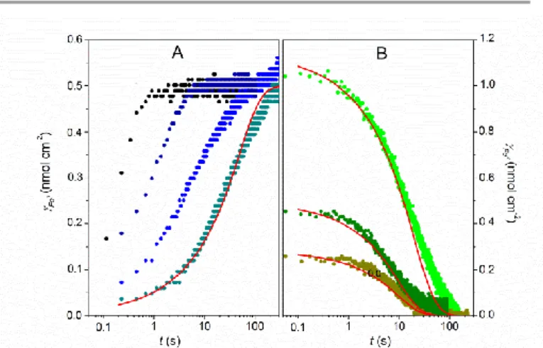 Fig. 3. (A) Time course of   FeII  changes for a Fe III TMPyP-loaded EISA TiO 2  electrode  (  Fe III = 5 × 10 -10  mol cm -2 ) after stepping the potential from +0.4 V to (from right  to  left)  -0.2,  -0.4,  -0.5  and  -0.6  V