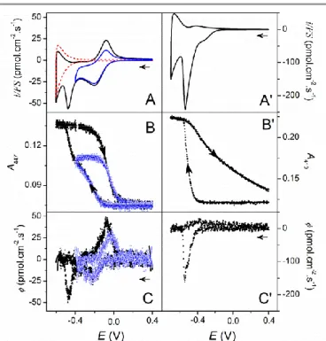 Fig. 4. (A, A’) CVs, (B, B’) CVAs and (C, C’) DCVAs simultaneously recorded (v = 10  mV s -1 ) at (A, B, C) a FeTMPyP- or (A’, B’, C’) a MP-11-loaded EISA TiO 2  electrode