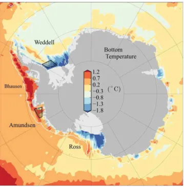 Figure 1.8: Southern Ocean bottom potential temperature. White line represents the 1000-m bathymetry contour