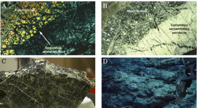 Figure 1.6: Macrophotographies (C, D) et microphotographies (A, B) de péridotites serpentinisées de l’Atlantis Massif (30° N, dorsale médio-Atlantique)