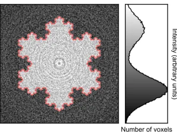 Figure 2.8: Koch flake blurred with a smoothing filter (σ s = 1.5 pixels) and de- de-graded with noise extracted from an empty CT-scan