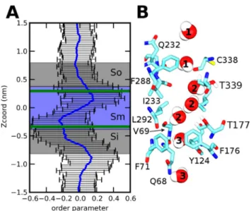 Figure 8. Electrostatic potential on the surface of UT-B (a) and AQP1 (b). View along the pore with water molecules located in the pore.