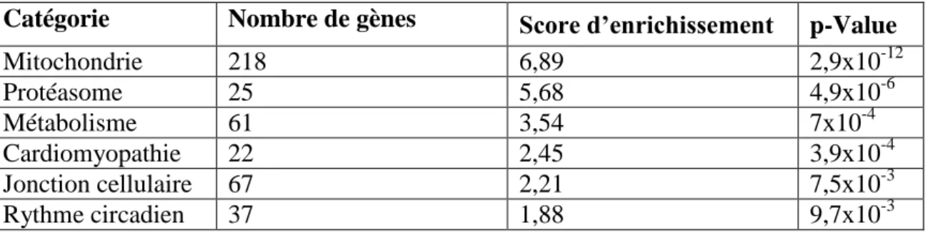 Tableau 8 : Classement de 3000 gènes en catégories selon leur fonctions.  