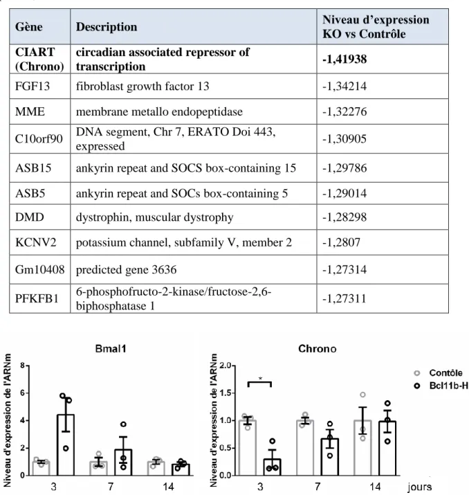 Figure  29  :  Vérification  par  qPCR  de  la  variation  observé  dans  les  microarray  de  l'expression des gènes du rythme circadien Bmal1 et Chrono